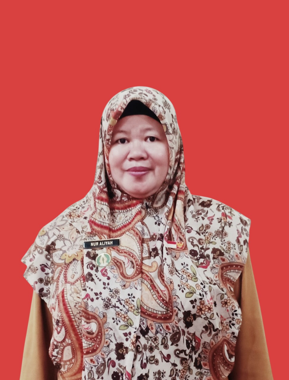 Nur